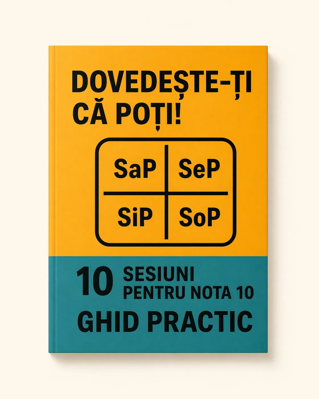 Coperta ghidului Logicabac